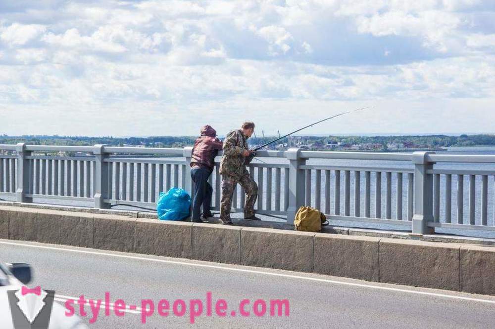 Риболов в Саратов на Волга: снимки и коментари