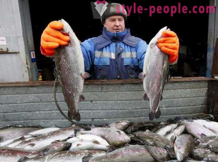 Риболов в Хакасия съвети рибари