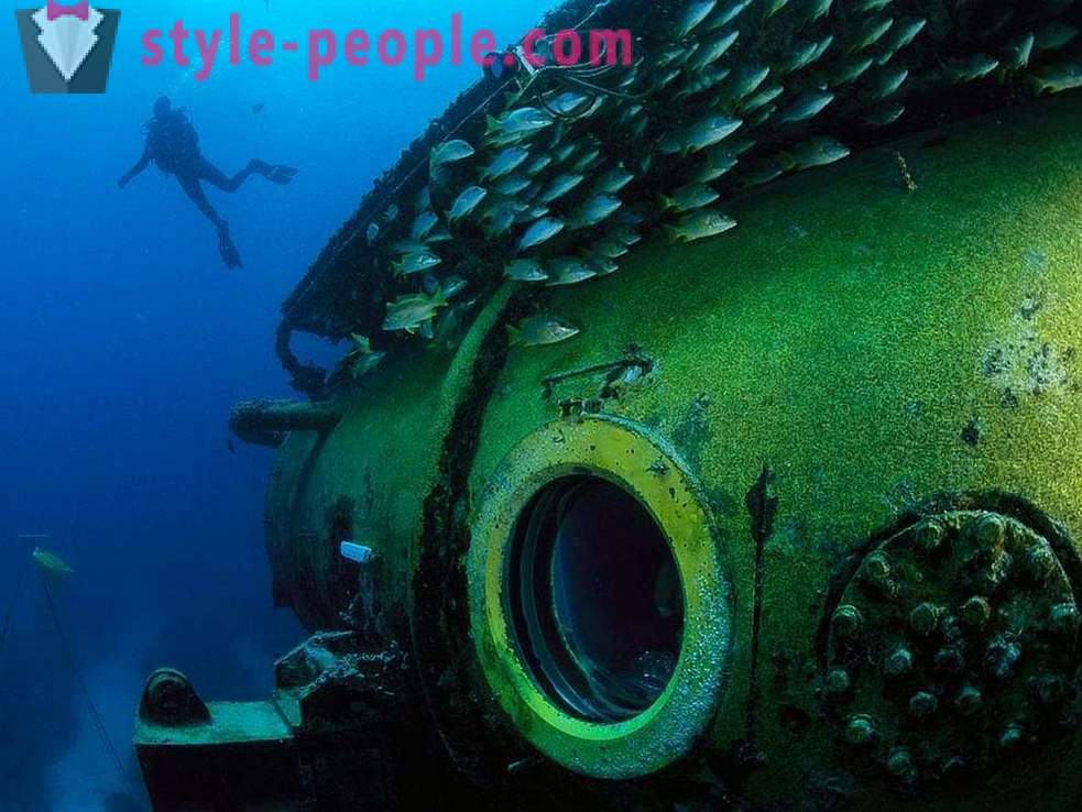 Невероятни жители на подводния свят в снимки