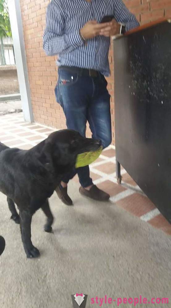 Кучето се е научил да си купят храна за своя валута