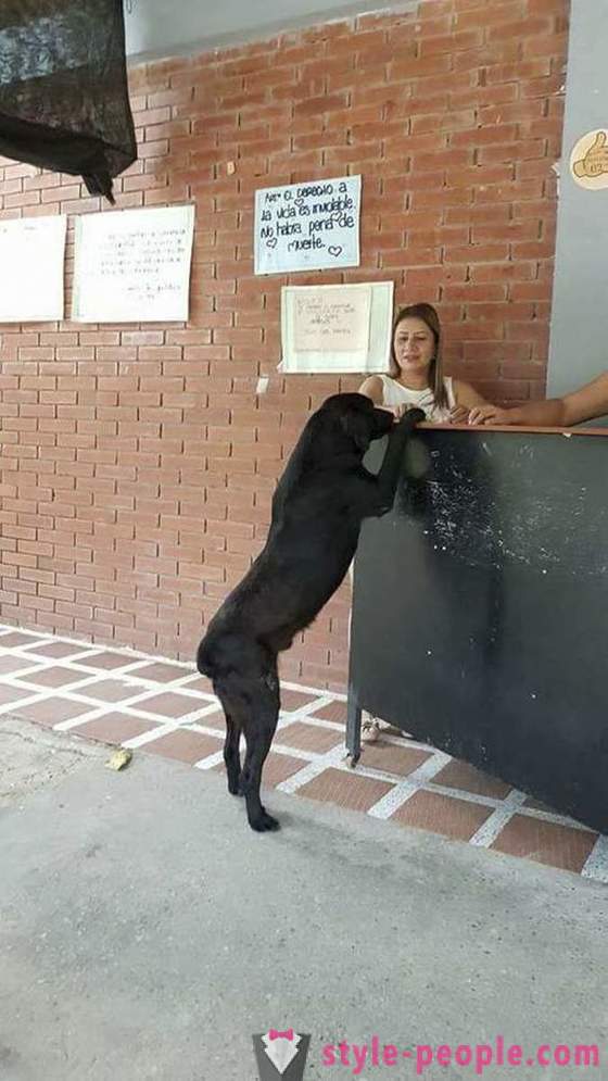 Кучето се е научил да си купят храна за своя валута