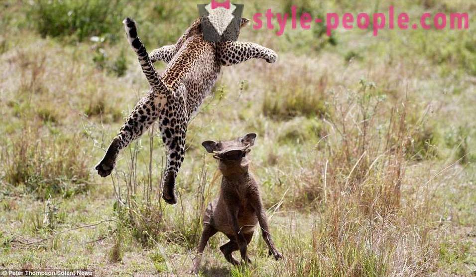 Лов виртуози: Flying Leopard