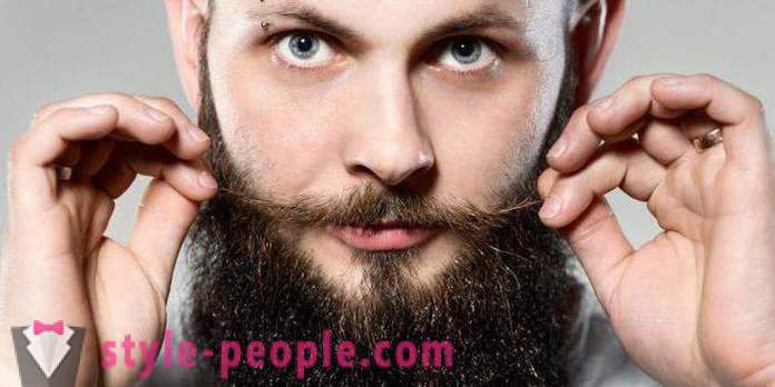 Мъжки брада стилен: видове, особено грижи