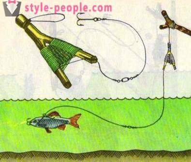 Риболов на zherlitsy събиране и монтаж предавка, тактика и тайни на голям улов