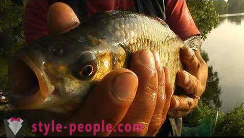 Риболов на Pakhra: снимки и отзиви. места за риболов