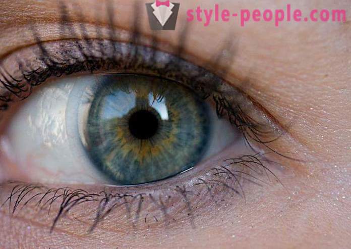 Блато цвят на очите. Какво определя цвета на човешкото око?