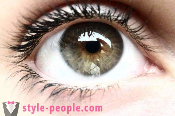 Блато цвят на очите. Какво определя цвета на човешкото око?