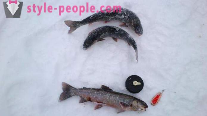 Рибарите отбелязват: риболов на пъстърва през зимата