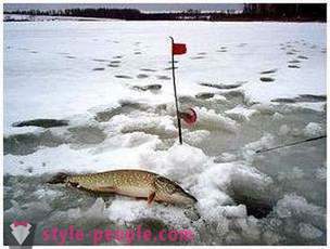 Пайк риболов на zherlitsy зимата. Пайк риболов през зимата тралене