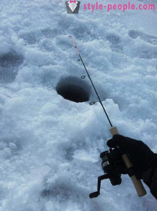 Михалица риболов през зимата на zherlitsy. Улавянето михалица през зимата тралене