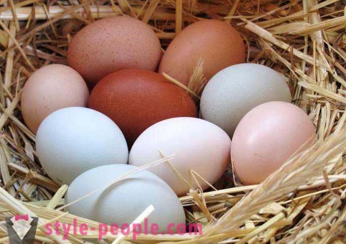 Egg диета: описанието, предимства и недостатъци