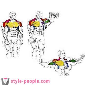 Как да се изгради гръдните мускули гири: упражнения и съвети